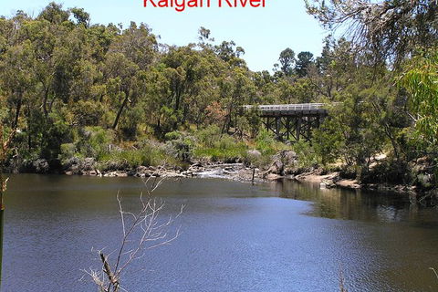 Kalgan Queen Scenic Cruises A Four Hour Sheltered Water Wildlife Tour Daily Fun. - 1 Gold Coast 3