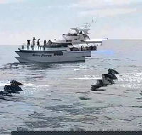 Busselton Whale Watching Eco Tour - Accommodation Gold Coast