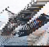 Rottnest Island Wild Seafood Package from Perth with Transfer - Accommodation Gold Coast