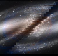 Dusk to Dawn Astronomy Experience at Bullara Station Stay - Accommodation Gold Coast