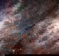 Overnight Astronomy Experience Ningaloo - Yardie Homestead - Accommodation Gold Coast