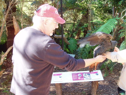 Puffing Billy Steam Train & Healesville Wildlife Sanctuary Tour From Melbourne - 1 Gold Coast 9