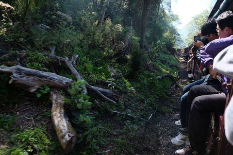 Puffing Billy Steam Train & Healesville Wildlife Sanctuary Tour From Melbourne - 1 Gold Coast 5