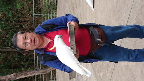 Puffing Billy Steam Train & Healesville Wildlife Sanctuary Tour From Melbourne - 1 Gold Coast 3