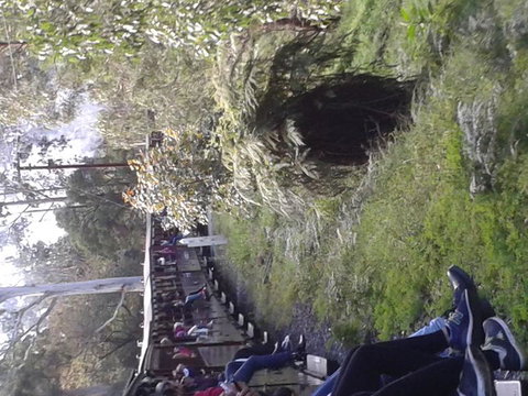 Puffing Billy Steam Train & Healesville Wildlife Sanctuary Tour From Melbourne - 1 Gold Coast 7