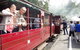 Puffing Billy Steam Train & Healesville Wildlife Sanctuary Tour From Melbourne - thumb 11