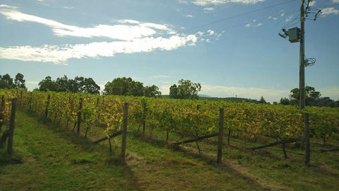 Puffing Billy Steam Train & Healesville Wildlife Sanctuary Tour From Melbourne - 1 Gold Coast 2