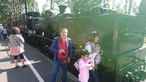 Puffing Billy Steam Train & Healesville Wildlife Sanctuary Tour From Melbourne - 1 Gold Coast 4