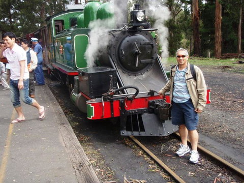 Puffing Billy Steam Train & Healesville Wildlife Sanctuary Tour From Melbourne - 1 Gold Coast 12