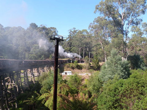 Puffing Billy Steam Train & Healesville Wildlife Sanctuary Tour From Melbourne - 1 Gold Coast 8