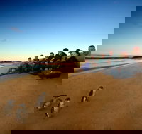 Phillip Island Ultimate Penguin Eco Tour or Skybox Experience - Accommodation Gold Coast