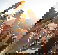 Ale Blazers Craft Beer Tour of the Surf Coast - Accommodation Gold Coast