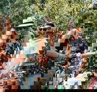 Bellarine Taster Gin Cider Wine and Lunch tour - Accommodation Gold Coast