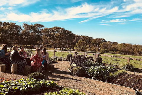 Bellarine Taster: Gin, Cider, Wine And Lunch Tour - Accommodation Gold Coast 8
