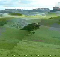 Day Tour of Phillip Island  Surrounding Region - Accommodation Gold Coast