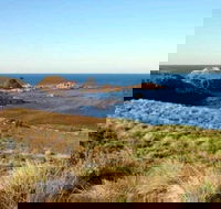 Phillip Island Walking  Bird Watching Tour - Accommodation Gold Coast