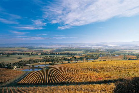Half Day Yarra Valley Winery Day Trip From Melbourne - Accommodation Gold Coast 0