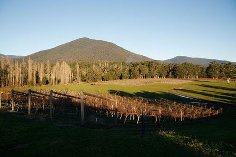Half Day Yarra Valley Winery Day Trip From Melbourne - Accommodation Gold Coast 6