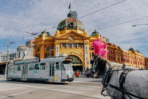 A Full Day In Melbourne With A Local: Private & Personalized - Accommodation Gold Coast 9