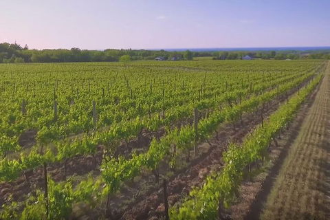 Macedon Ranges Small Group Wine Tour With 2 Course Lunch And Morning Tea - Accommodation Gold Coast 1