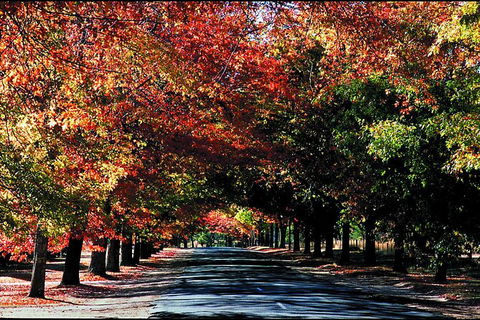 Macedon Ranges Small Group Wine Tour With 2 Course Lunch And Morning Tea - Accommodation Gold Coast 3