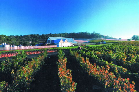 Macedon Ranges Small Group Wine Tour With 2 Course Lunch And Morning Tea - Accommodation Gold Coast 4