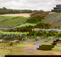 Montalto Vineyard Mornington Peninsula Discovery Wine Tasting and Lunch