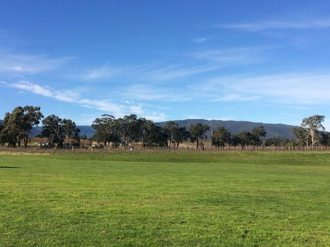 Yarra Valley Wineries And Puffing Billy Steam Train Tour From Melbourne - Accommodation Gold Coast 17