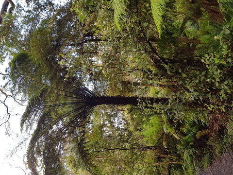 Yarra Valley Wineries And Puffing Billy Steam Train Tour From Melbourne - Accommodation Gold Coast 7