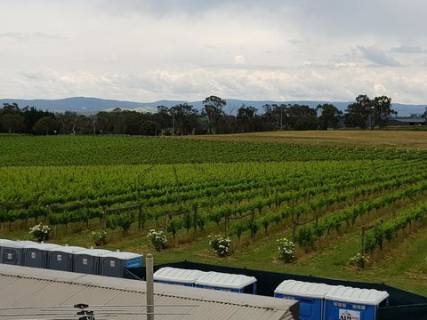 Yarra Valley Wineries And Puffing Billy Steam Train Tour From Melbourne - Accommodation Gold Coast 4