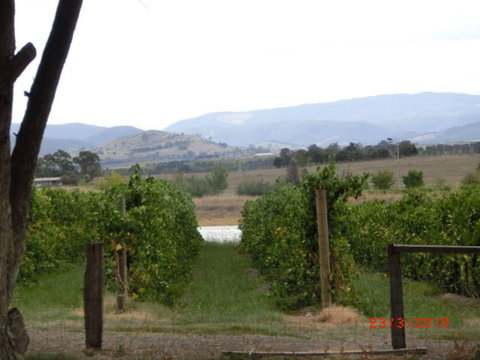 Yarra Valley Wineries And Puffing Billy Steam Train Tour From Melbourne - Accommodation Gold Coast 25