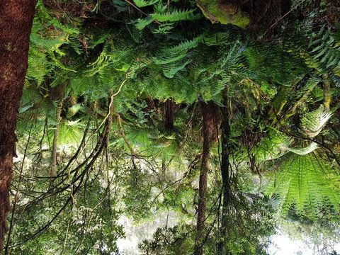 Yarra Valley Wineries And Puffing Billy Steam Train Tour From Melbourne - Accommodation Gold Coast 6