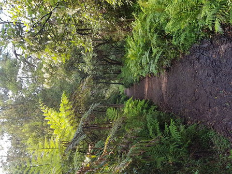 Yarra Valley Wineries And Puffing Billy Steam Train Tour From Melbourne - Accommodation Gold Coast 8