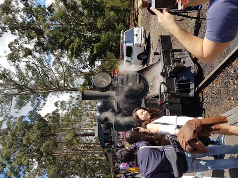 Yarra Valley Wineries And Puffing Billy Steam Train Tour From Melbourne - Accommodation Gold Coast 5
