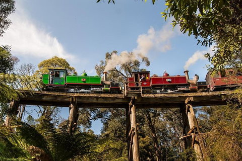 Yarra Valley Wineries And Puffing Billy Steam Train Tour From Melbourne - Accommodation Gold Coast 32
