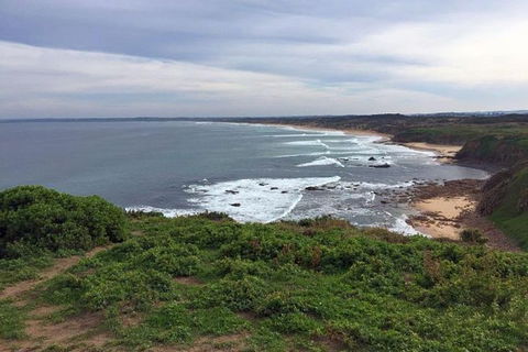Half Day Phillip Island Woolamai Walking Tour - Accommodation Gold Coast 0