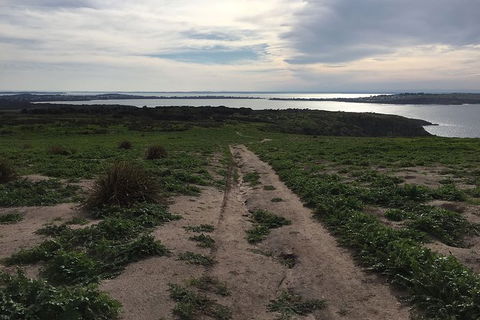 Half Day Phillip Island Woolamai Walking Tour - Accommodation Gold Coast 8