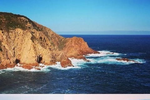 Half Day Phillip Island Woolamai Walking Tour - Accommodation Gold Coast 6