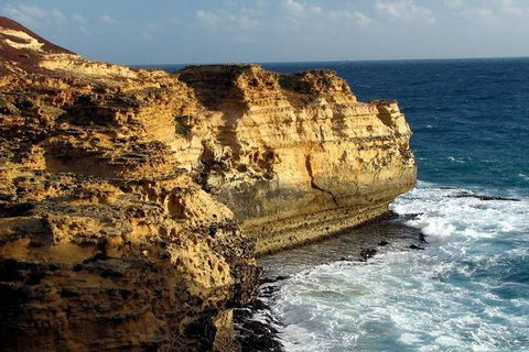 Half Day Phillip Island Woolamai Walking Tour - Accommodation Gold Coast 12