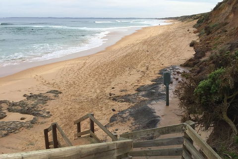 Half Day Phillip Island Woolamai Walking Tour - Accommodation Gold Coast 11