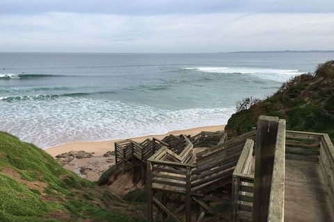 Half Day Phillip Island Woolamai Walking Tour - Accommodation Gold Coast 5