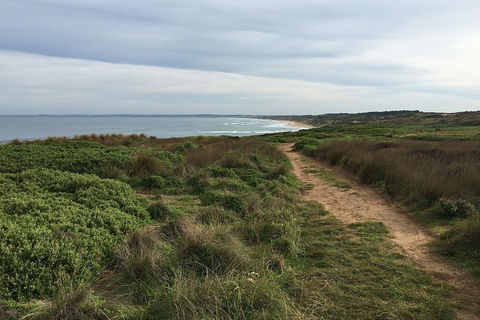 Half Day Phillip Island Woolamai Walking Tour - Accommodation Gold Coast 3
