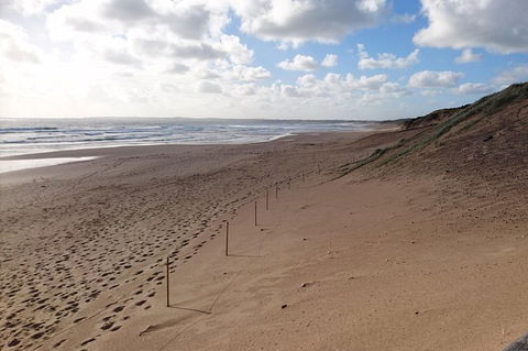 Half Day Phillip Island Woolamai Walking Tour - Accommodation Gold Coast 7
