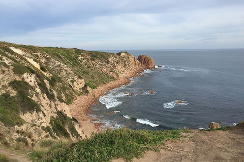 Half Day Phillip Island Woolamai Walking Tour - Accommodation Gold Coast 2