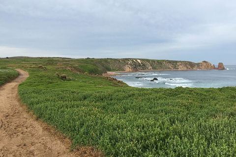 Half Day Phillip Island Woolamai Walking Tour - Accommodation Gold Coast 9