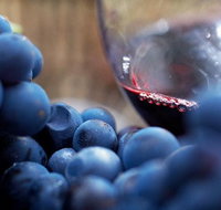 Small Group 6 guests Ultimate Mornington Peninsula Food and Wine - Accommodation Gold Coast