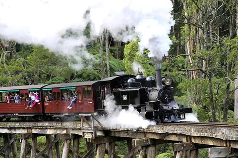 Dandenong Ranges & Puffing Billy - Accommodation Gold Coast 0