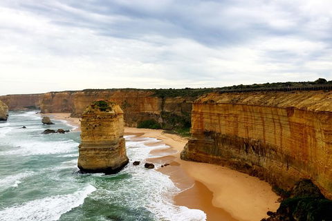 Ultimate Reverse Direction - 12 Apostles, Great Ocean Road - Small Group Tour - Accommodation Gold Coast 1