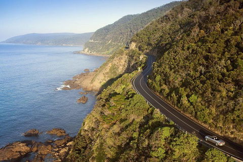Ultimate Reverse Direction - 12 Apostles, Great Ocean Road - Small Group Tour - Accommodation Gold Coast 10