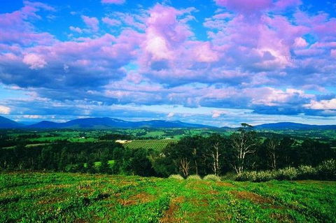CHEVY CONVERTIBLE Package For 4 -Wine Lunch Cheese & Chocolate From Yarra Valley - Accommodation Gold Coast 7